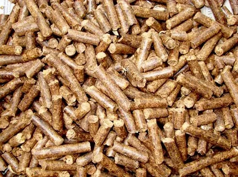 Biomass Pellets Supplier in Chhattisgarh