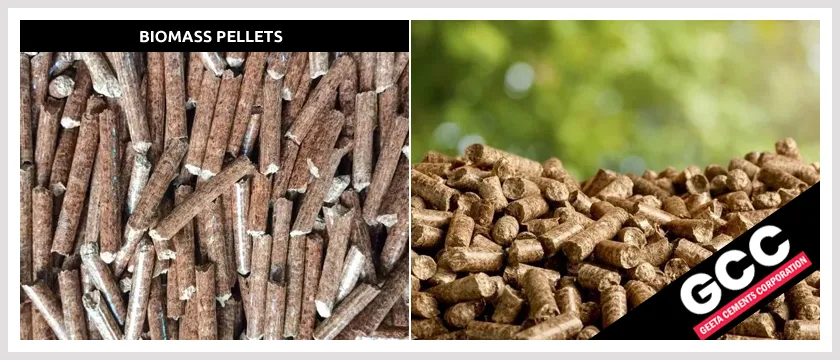 Biomass Pellets Supplier in Chhattisgarh